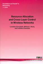 Resource Allocation and Cross Layer Control in Wireless Networks