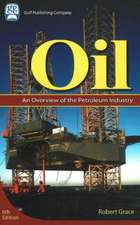 Oil: An Overview of the Petroleum Industry