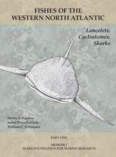 Lancelets, Cyclostomes, Sharks: Part 1