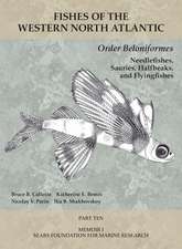 Order Beloniformes: Needlefishes, Sauries, Halfbeaks, and Flyingfishes: Part 10