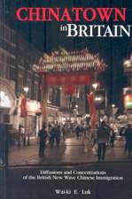 Chinatown in Britain: Diffusions and Concentrations of the British New Wave Chinese Immigration