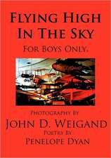 Flying High in the Sky---For Boys Only: Going Whole Hog in a State of Wonder