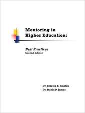 Mentoring in Higher Education: Best Practices Second Edition