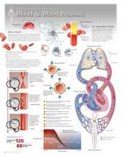 Blood & Blood Pressure Wall Chart: 8160