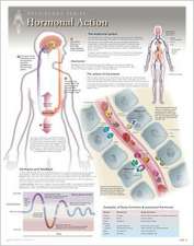 Hormonal Action Wall Chart: 8280