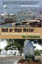 Hell or High Water: How Cajun Fortitude Withstood Hurricanes Rita and Ike