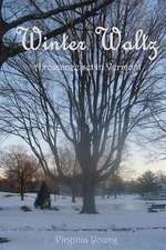 Winter Waltz: How t