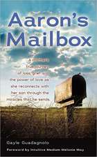 Aaron's Mailbox: A Mother's True Journey as She Reconnects with Her Son After His Passing and the Miracles That He Sends; His Spirit Li