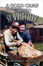 A Gold Camp Called Summitville