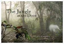 The Jungle at the Door