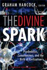 The Divine Spark: Psychedelics, Consciousness, and the Birth of Civilization