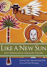 Like a New Sun: New Indigenous Mexican Poetry