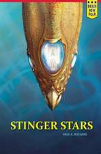 Stinger Stars: An Alphabet Book of Goodness, Beauty, and Wonder