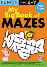 My Big Book of Mazes