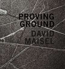 David Maisel