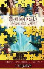 Orphan Falls