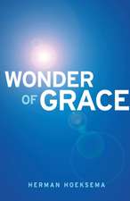 Wonder of Grace