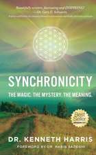 Synchronicity: The Magic. The Mystery. The Meaning.