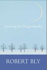 Looking for Dragon Smoke: Essays on Poetry