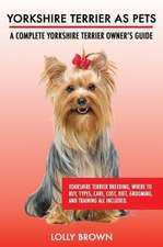 Yorkshire Terrier as Pets