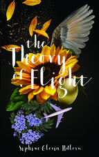 Theory of Flight