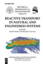 Reactive Transport in Natural and Engineered Systems