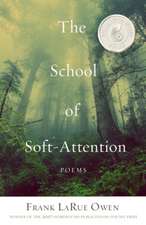 The School of Soft-Attention