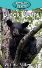 Black Bears