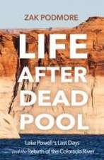 Life After Dead Pool