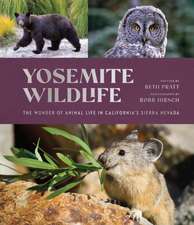 Yosemite Wildlife