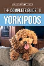 The Complete Guide to Yorkipoos