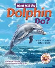 What Will the Dolphin Do?