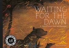 Waiting for The Dawn