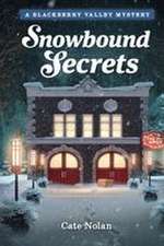 Snowbound Secrets