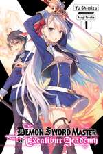 The Demon Sword Master of Excalibur Academy, Vol. 1 (light novel)