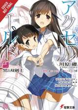 Accel World, Vol. 18 (light novel)