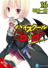 High School DXD, Vol. 16 (Light Novel)