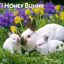 Honey Bunny 2025 12 X 24 Inch Monthly Square Wall Calendar Plastic-Free Browntrout Domestic Small Cute Animals