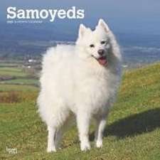 Samoyeds 2025 12 X 24 Inch Monthly Square Wall Calendar Plastic-Free