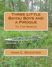 Three Little Bayou Boys and a Pirogue