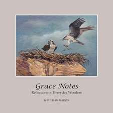 Grace Notes