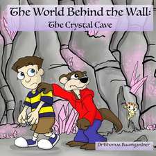 The World Behind the Wall