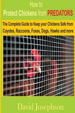 How to Protect Chickens from Predators