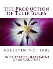 The Production of Tulip Bulbs