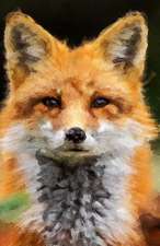Red Fox Journal