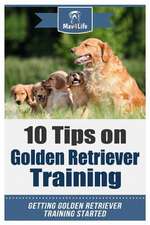 10 Tips on Golden Retriever Training