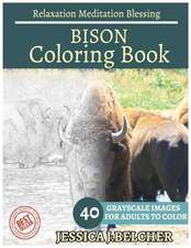 Bison Coloring Book for Adults Relaxation Meditation Blessing