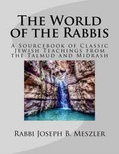 The World of the Rabbis