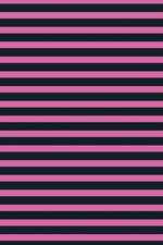 Lizzie Timewarp Notebook (black and pink striped)