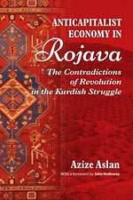 Anticapitalist Economy in Rojava: The Contradictions of the Revolution in the Struggles of the Kurds